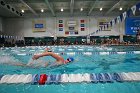 Swim vs Bentley  Wheaton College Swimming & Diving vs Bentley University. - Photo by Keith Nordstrom : Wheaton, Swimming & Diving